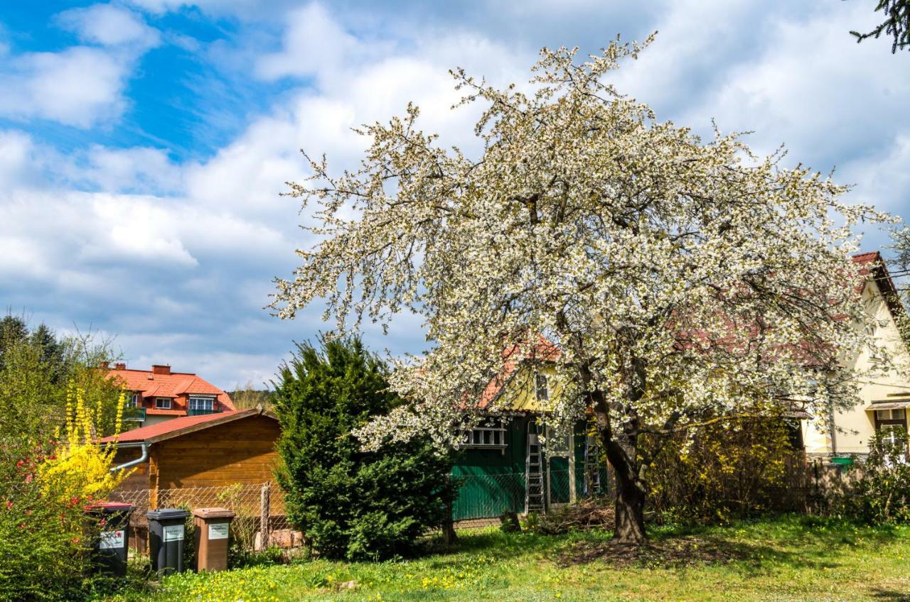 Gemuetliches, Heimeliges Ferienhaus การ์ส อัม คามป์ ภายนอก รูปภาพ